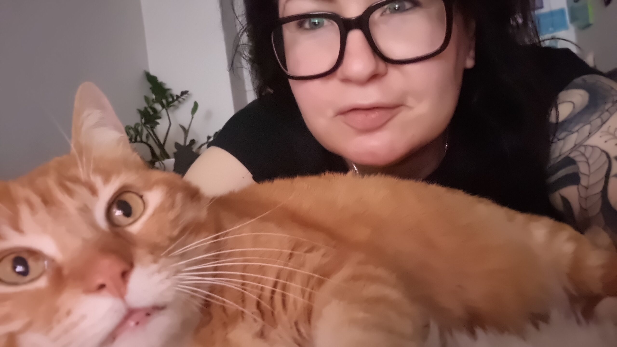 Kathi - DieHausTierHüterin