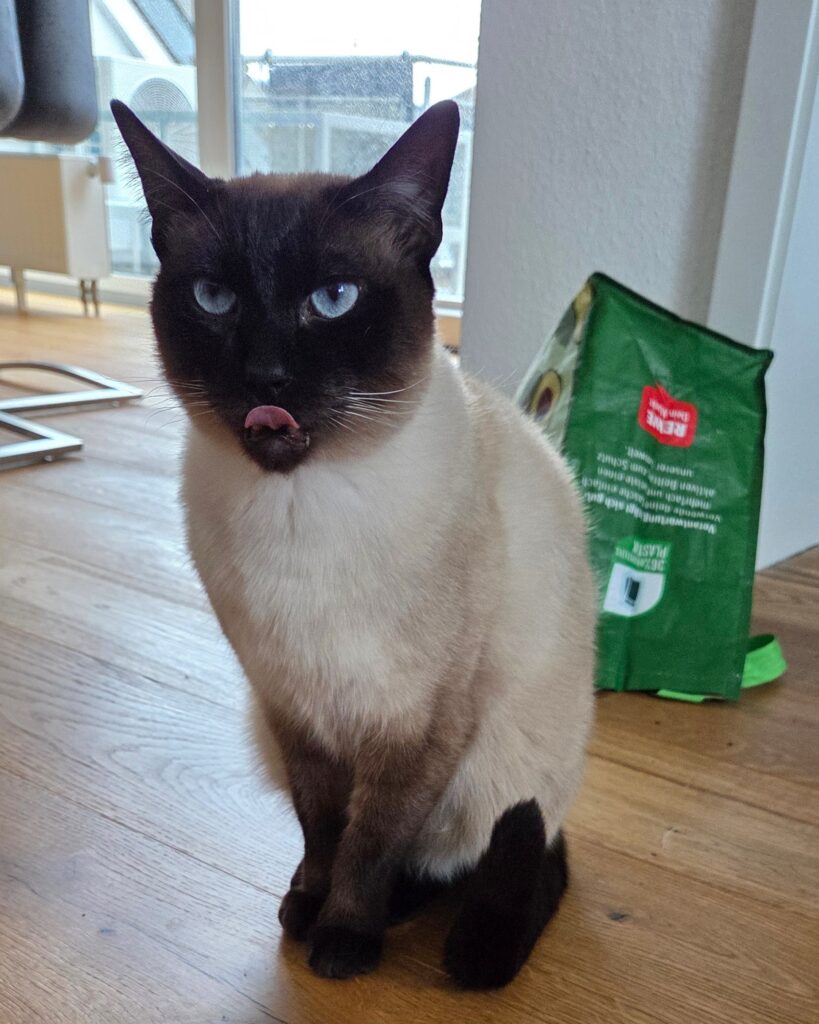 Kater Azrael