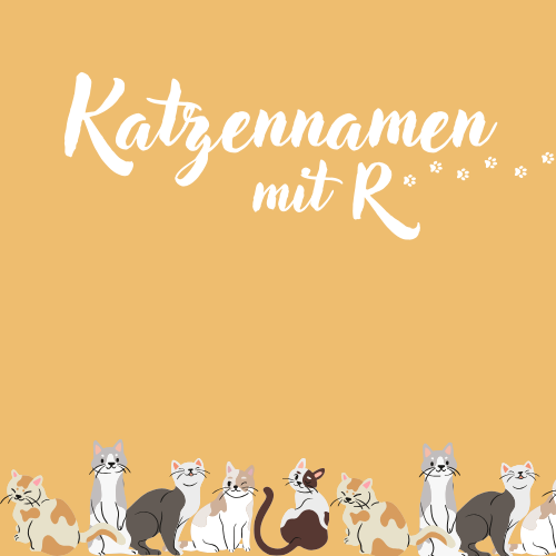 Katzennamen mit R
