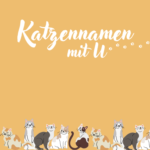 Katzennamen mit U