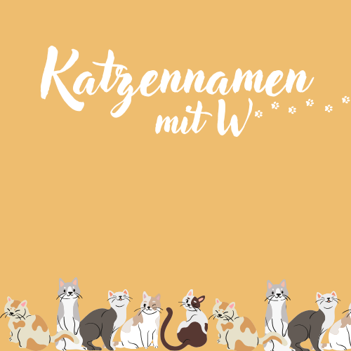 Katzennamen mit W