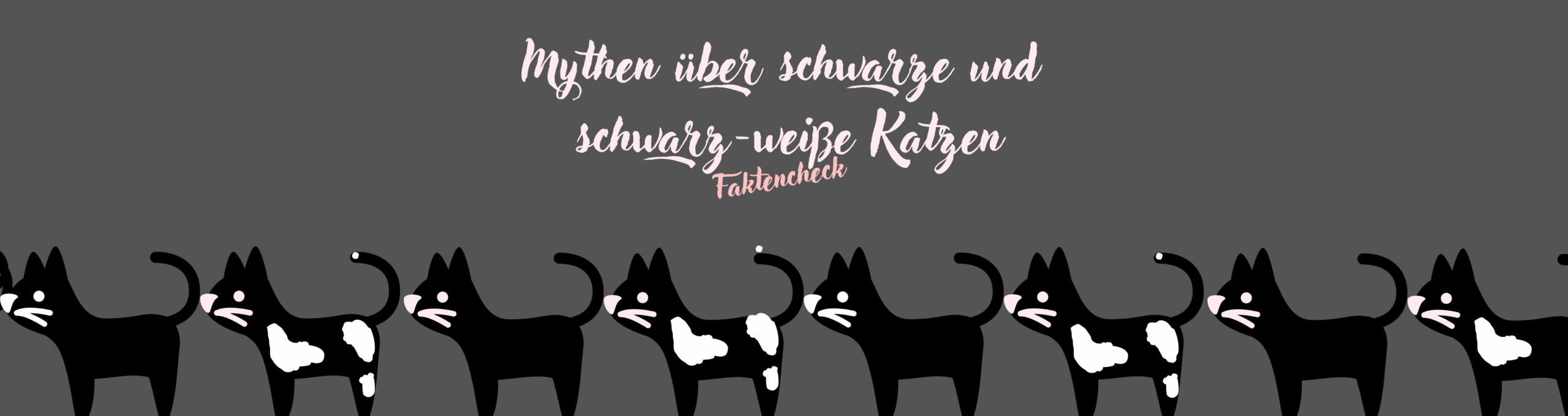 Schwarze Katzen Mythen