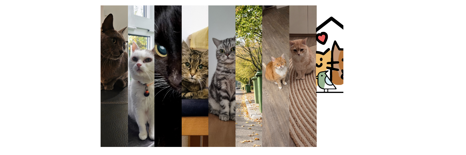 Gründertagebuch – Monat 2: Auf dem Weg zur festen Größe (mit kleinen Höhenflügen)