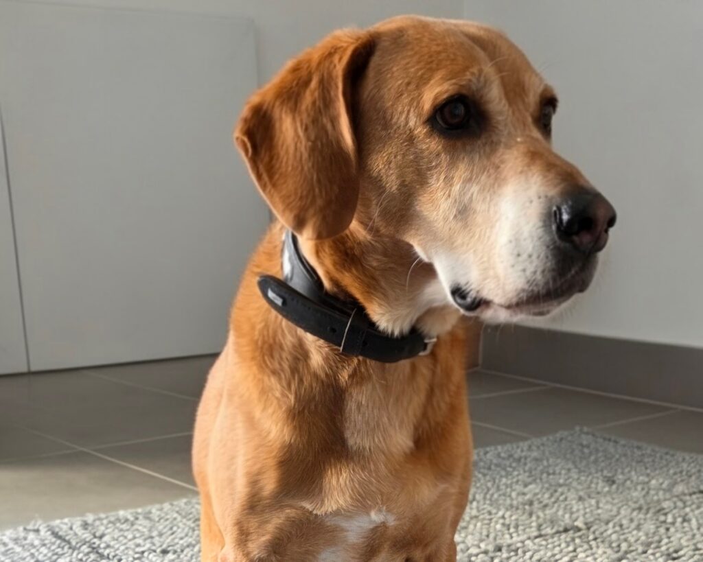 Erkenntnisse aus dem Business-Aufbau: 4. Der Wert deiner Arbeit ist nicht gleich deine Zeit