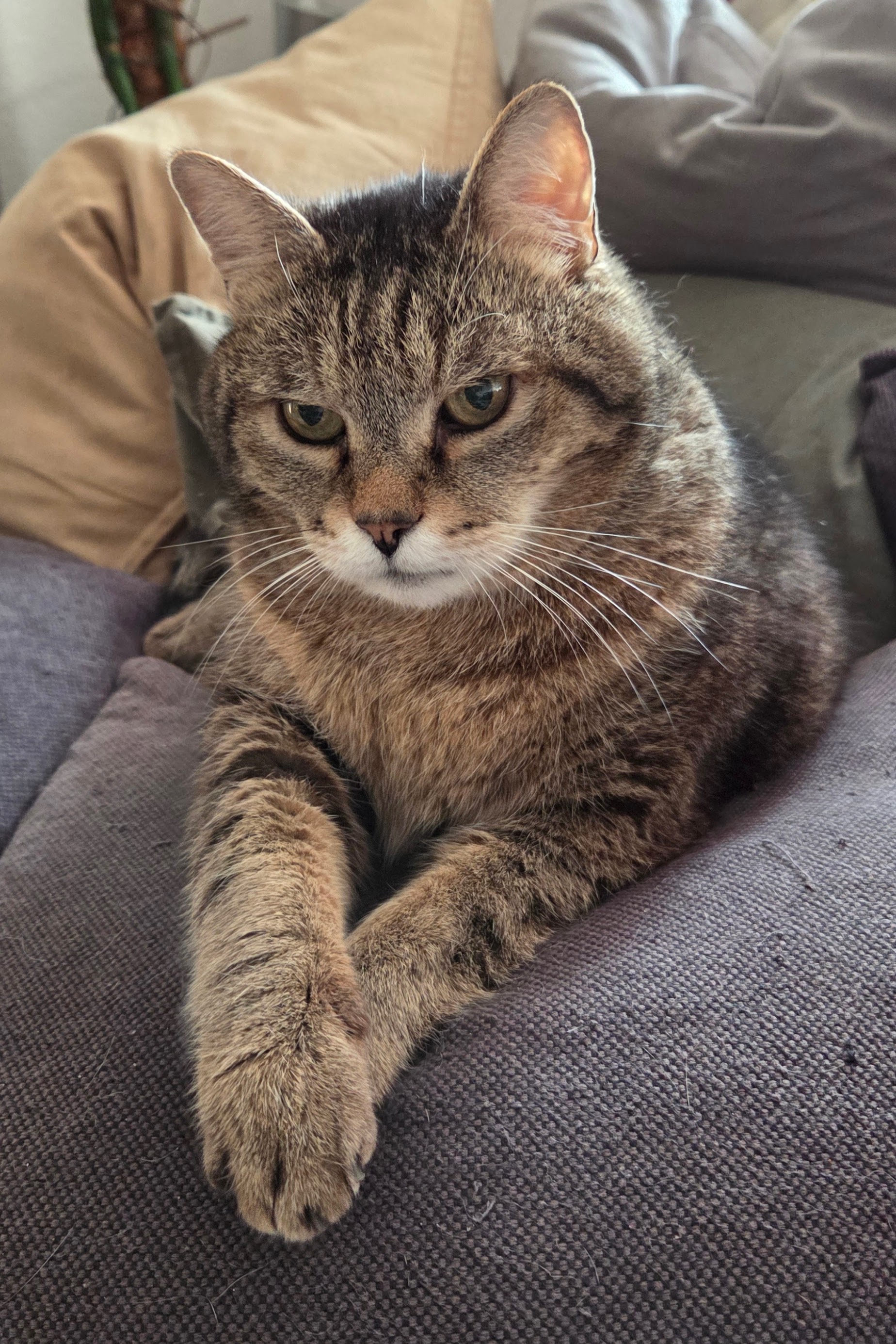 Erkenntnisse aus dem Business-Aufbau: 2. Du bist zu 50 % Verkäufer:in