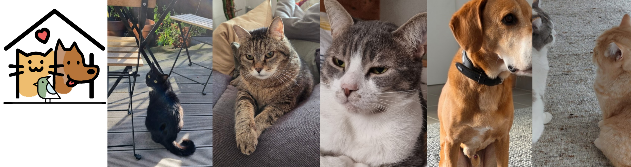 6 Monate Business Aufbau: Mein ehrlicher Rückblick aufs selbstständig machen