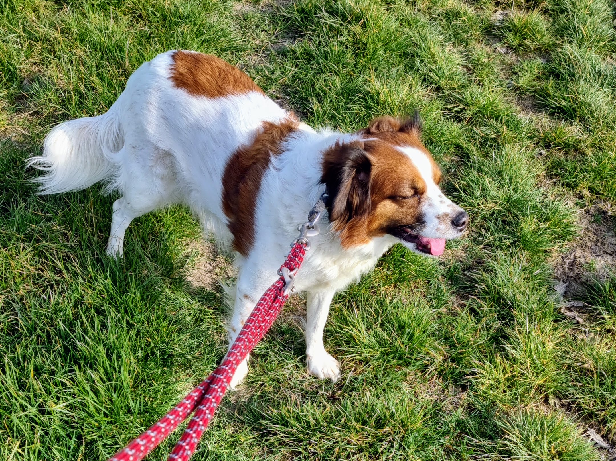 Gassi-Service-Kundin Emmi