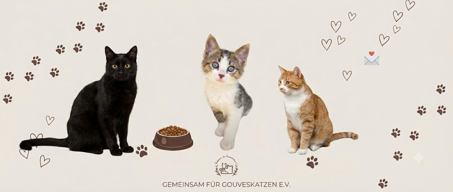 Dringend Pflegstellen für Katzen gesucht